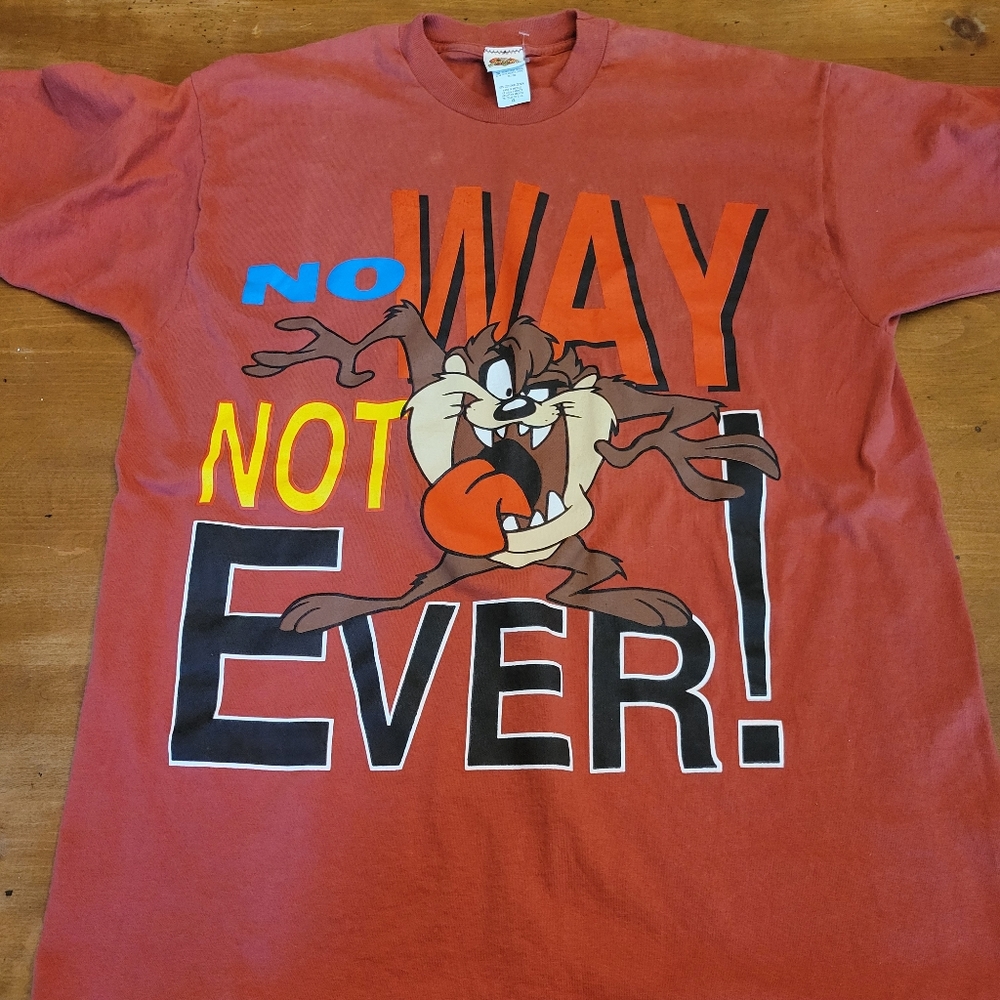 Vintage 1997 Taz looney tunes t shirt size XL